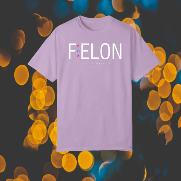 F Elon Sign PRINTABL And The Tesla He Rode In On T-Shirt