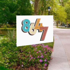 FDT 8647 Anti Trump Yard Sign