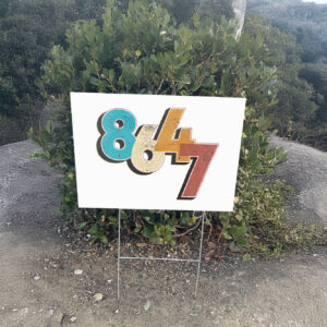 FDT 8647 Anti Trump Yard Sign
