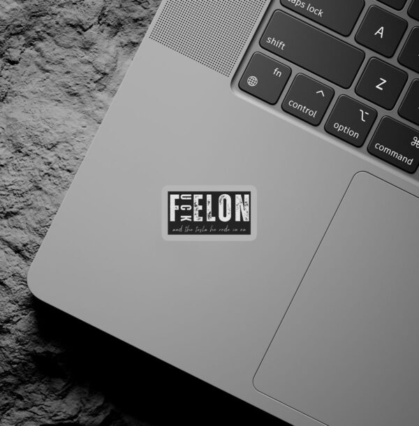 Fuck Elon And The Tesla He Rode In On Sticker ,Car Magnet