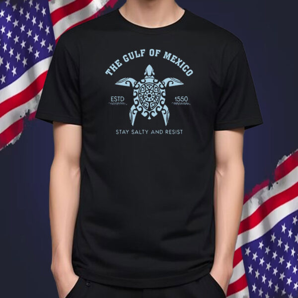 Gulf of Mexico Stay Salty Resistance 2025 T-Shirt