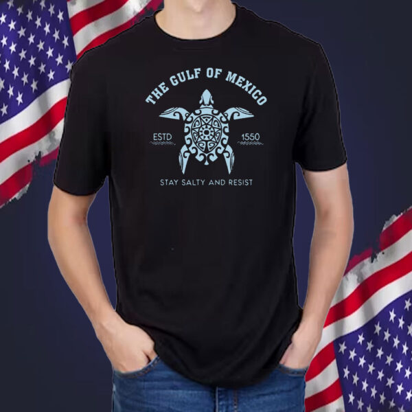 Gulf of Mexico Stay Salty Resistance 2025 T-Shirt