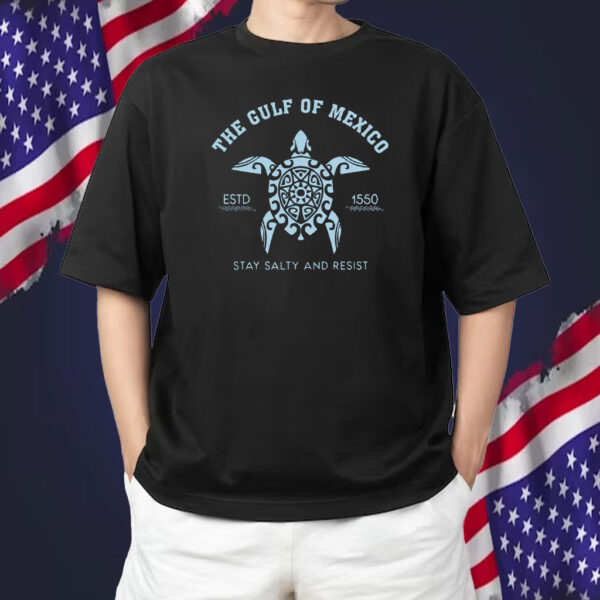 Gulf of Mexico Stay Salty Resistance 2025 T-Shirt