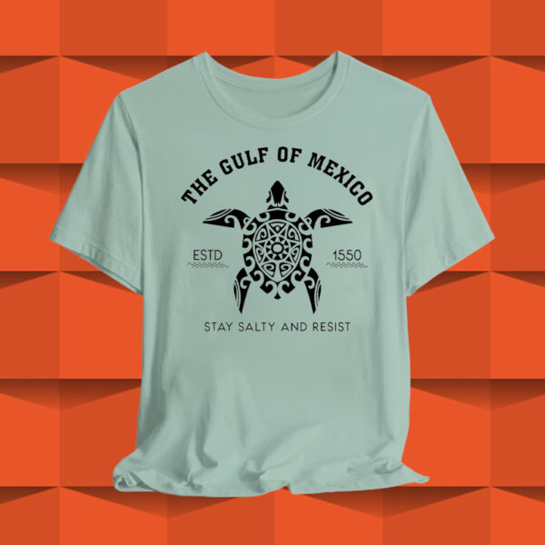 Gulf of Mexico Stay Salty Resistance T-Shirt