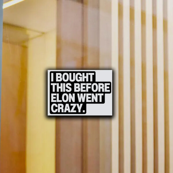 I Bought This Before Elon Went Crazy Tesla Sticker, Car Magnet