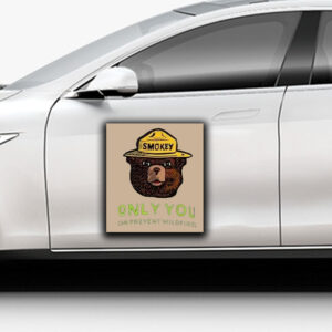 Smokey Bear Resist, Only ou Can Prevent Wildfires Sticker