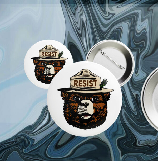 Smokey The Bear Resist, Resist Fascism National Park Button