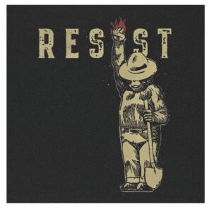 Smokey The Resist Bear Car Magnets