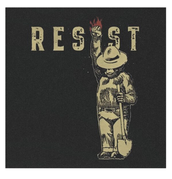 Smokey The Resist Bear Car Magnets