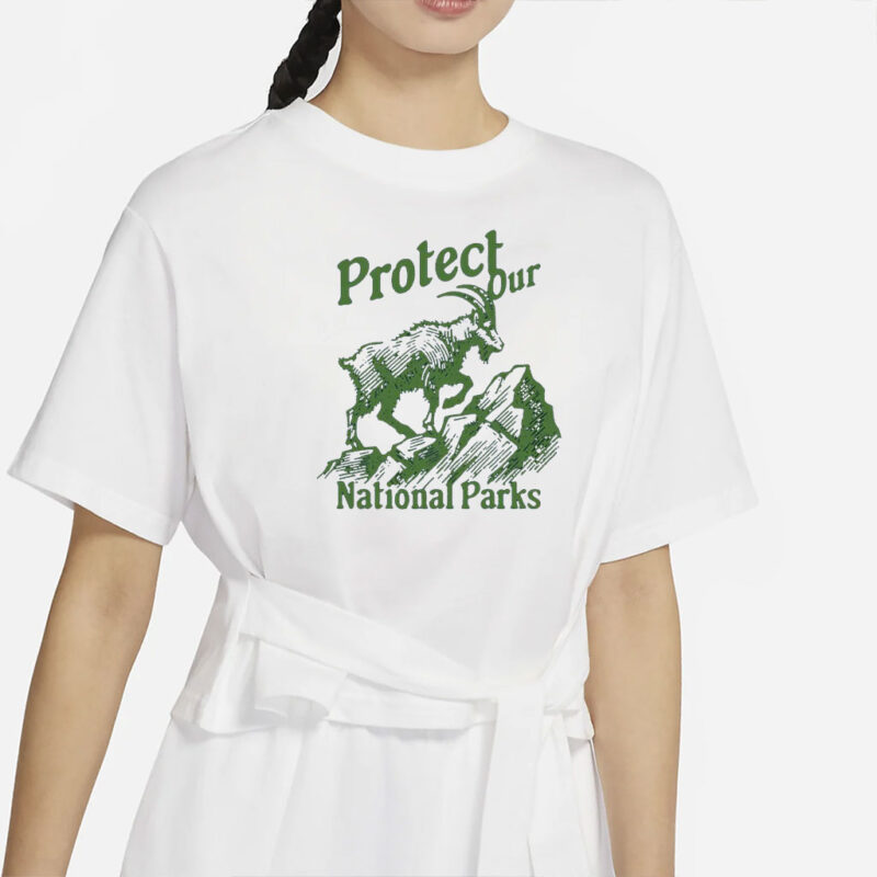 Protect Our National Parks Shirt National Park Lover Sweatshirt Vintage Support National Park Subtle Anti Trump Camping Bear Resist Gift Shirt