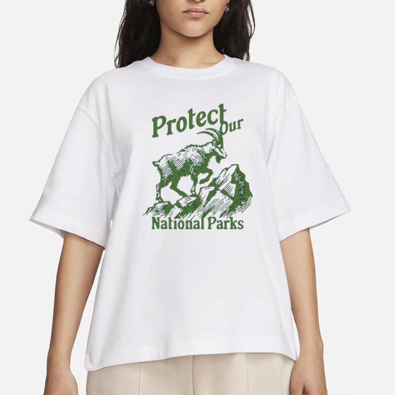 Protect Our National Parks Shirt National Park Lover Sweatshirt Vintage Support National Park Subtle Anti Trump Camping Bear Resist Gift Shirt