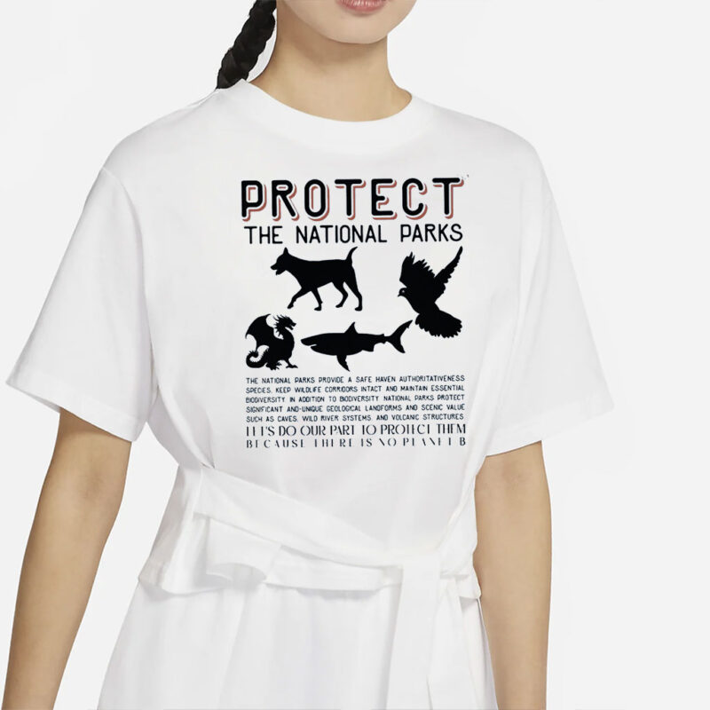 Protect The National Parks Shirt, Resist Tee, Environmental Activism Tee, Protect Our National Parks Shirt, Anti Trump Shirt
