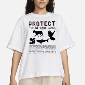 Protect The National Parks Shirt, Resist Tee, Environmental Activism Tee, Protect Our National Parks Shirt, Anti Trump Shirt