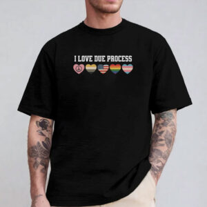 I Love Due Process, Human Rights Matter Shirt