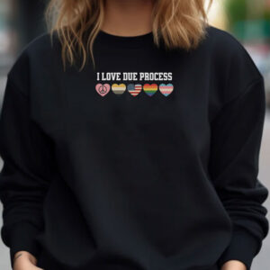 I Love Due Process, Human Rights Matter Shirt